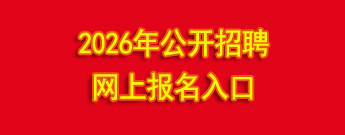 2026公开招聘网上报名入口